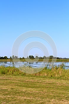 Marsh along Panther Point Trail at Lake Hancock Boat Ramp