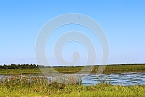 Marsh along Panther Point Trail at Lake Hancock Boat Ramp