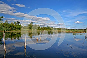 Marsh in Bizard Island