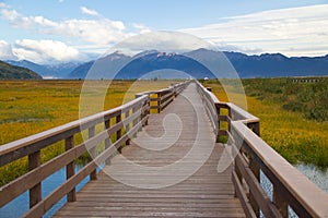 Marsh Boardwalk