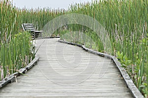 Marsh boardwalk