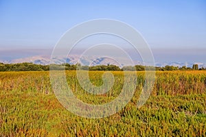 Marsh in Coyote Hills Regional Park; on the background smoke from Soberanes fire is visible, Fremont, San Francisco bay area,