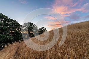 Marsh Creek Reservoir at Sunrise