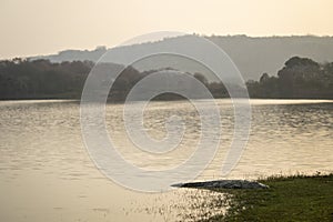 Marsh crocodile or mugger crocodile or broad snouted crocodile Crocodylus palustris out of lake water in natural scenic background photo