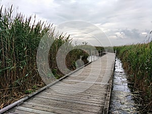 Marsh Discovery Trail, Kingsland Creek, Hackensack River, Meadowlands, NJ, USA