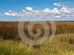 Marsh at Fort Fisher State Historic Site