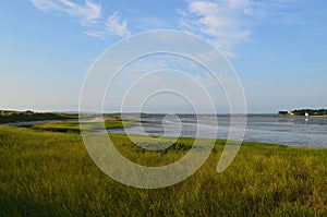 Marsh Grass on Duxbury Bay