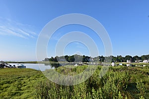 Marsh Grass Surrounding Duxbury Bay in Southeastern Massachusetts