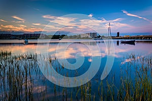 Marsh grasses at twilight on the Folly River, in Folly Beach, So