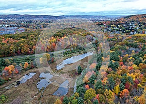 marsh with lake (aerial view in autumn with fall foliage) binghamton university nature preserve trail bridge in swamp
