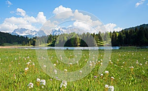 Marsh land lake Gerold with rarely bogbean flowers, karwendel mountain view, bavaria