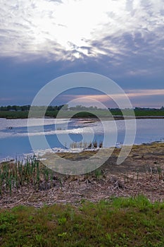 Marsh lands in rural Ohio under evening sun light