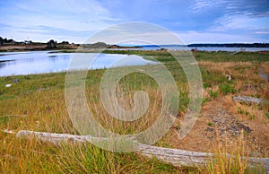 Marsh lands in Whidbey island