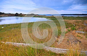 Marsh lands in Whidbey island photo