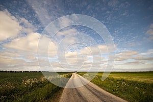 Marsh Landscape