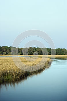 Marsh landscape photo