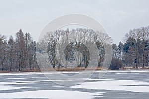 Marsh landscape with bare winter trees and covered in snow and pool with reed