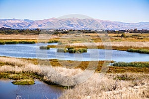 Marsh Landscape, Coyote Hills Regional Park, East San Francisco Bay Area, Fremont, California