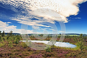 Marsh landscape at the low mountain range Rhoen