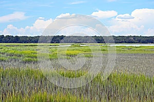 Marsh landscape photo