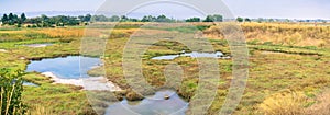 Marsh Landscape, Shoreline Park, Mountain View, California