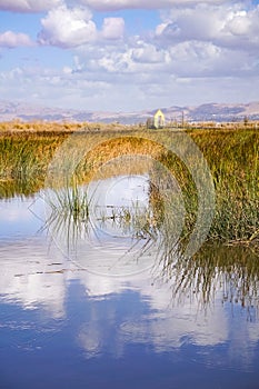 Marsh landscape, south San Francisco bay, Alviso Marina, San Jose, California