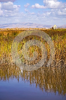 Marsh landscape, south San Francisco bay, Alviso Marina, San Jose, California