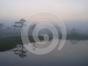 Marsh landscape, sunrise