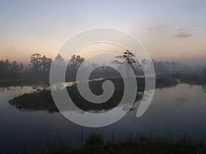 Marsh landscape, sunrise