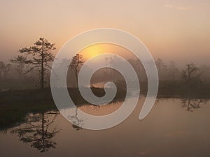 Marsh landscape, sunrise