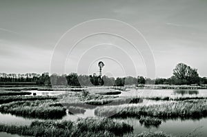 Marsh landscape with windmill