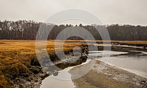 Marsh in Massachusetts