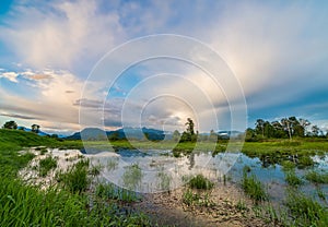 Marsh with Mountain and Amazing Clouds