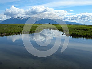 Marsh reflections