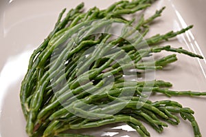 Marsh Samphire or Common Glasswort Salicornia europaea