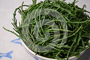 Marsh Samphire or Common Glasswort Salicornia europaea