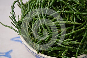 Marsh Samphire or Common Glasswort Salicornia europaea