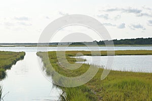 Marsh at South Cape Beach in Mashpee, MA