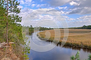 Marsh in South Carolina