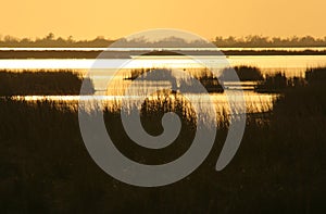 Marsh sunset