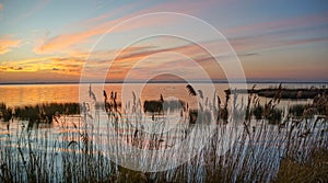 Marsh View Currituck Sound North Carolina