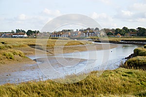 Marsh and village landscape.