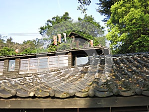 Marshal Zen Garden beitou taiwan