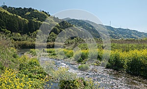 Marshes along Hozugawa River.