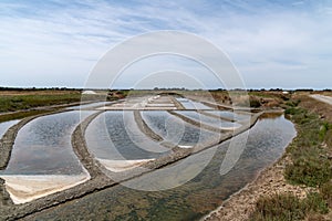 Marshes for evaporation of salt on the island of Noirmoutier Vendee France