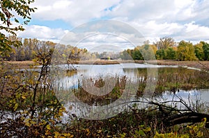 Marshes and forests of refuge in Eagan