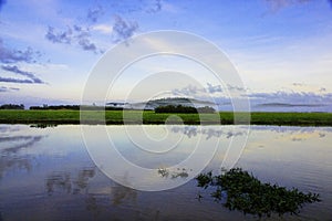 Marshes Kaw in French Guyana