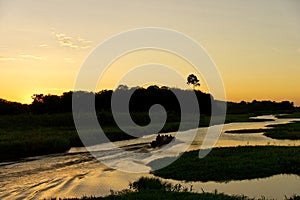 Marshes Kaw in French Guyana