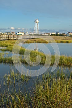 Marshes near the Intracoastal waterway