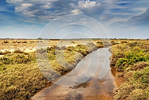 Marshes of the river Odiel in Huelva